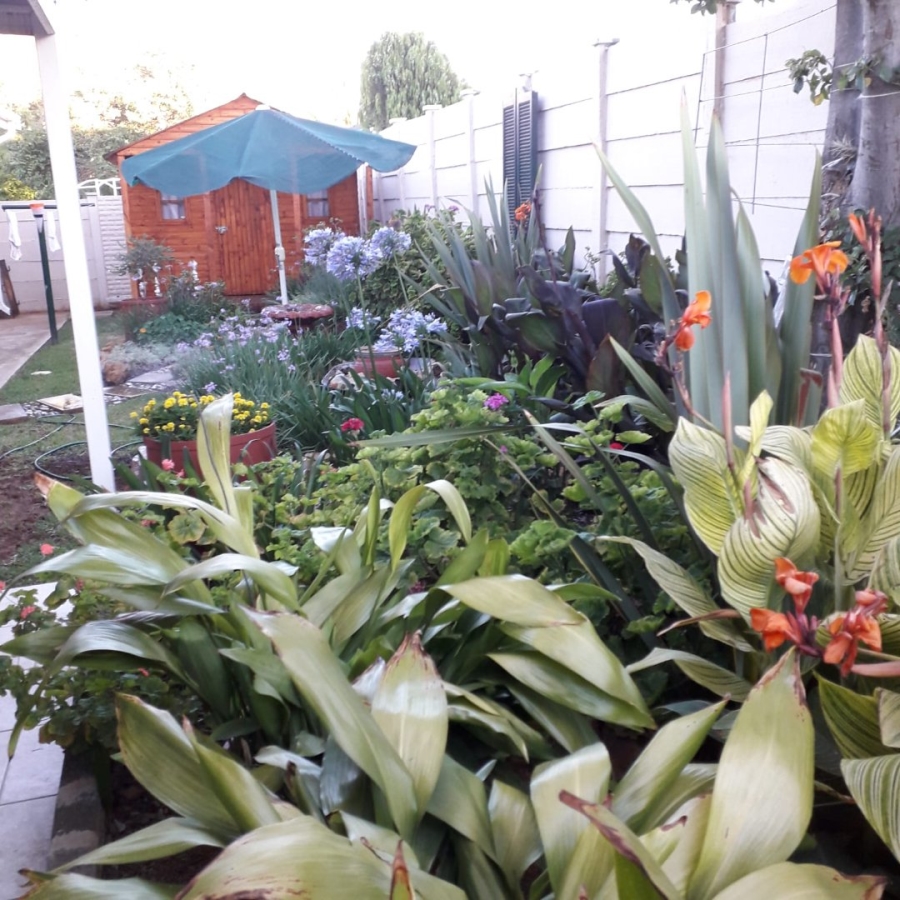 To Let 3 Bedroom Property for Rent in Fichardt Park Free State